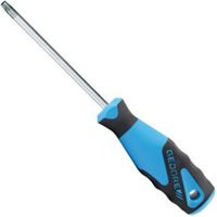 Torx Met Stift | Kruis.nl